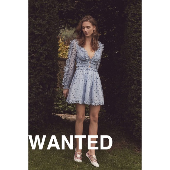 zimmermann winsome tea dress